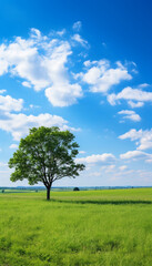 Blue sky and cloud with meadow tree. Plain landscape background for summer poster. Generate AI