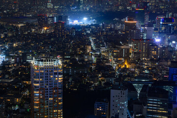 Fototapeta na wymiar 渋谷skyから観た夜景