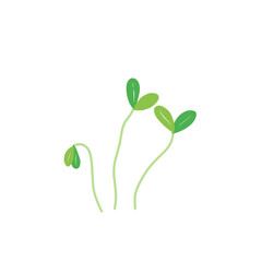 Microgreen plants Illustration 