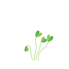 Fototapeta na wymiar Microgreen plants Illustration 