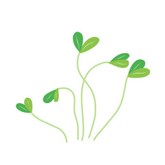 Microgreen plants Illustration 