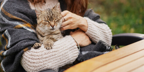 Portrait of a beautiful gray cat sitting in the arms of woman owner in a warm sweater