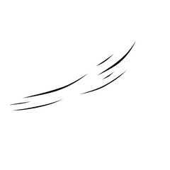 Line Movement Animation 