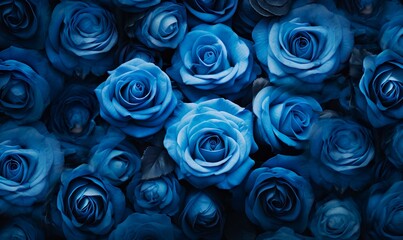Background filled with blue roses