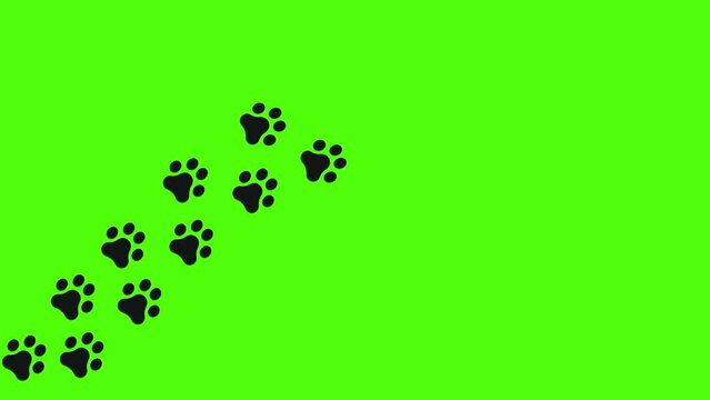 Trail of paw prints on green screen background. Black canine silhouettes of footprints. Steps tracing the canine path. Journey of the dog paw prints.