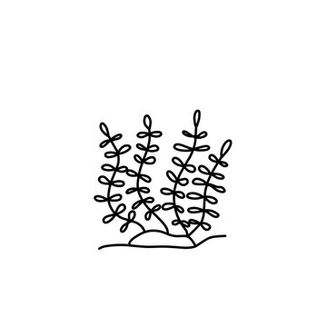 Hand Drawn Seaweed Doodle 