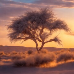 In the golden light of dawn, alone tree stands at the desert 