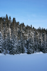 Image from the Svartdalstjerna Lakes nr. 1, and from the Svartdalstjerna primeval forest nature reserve, in winter. Part of the Totenaasen Hills, Norway.