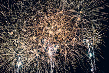 Firework 1