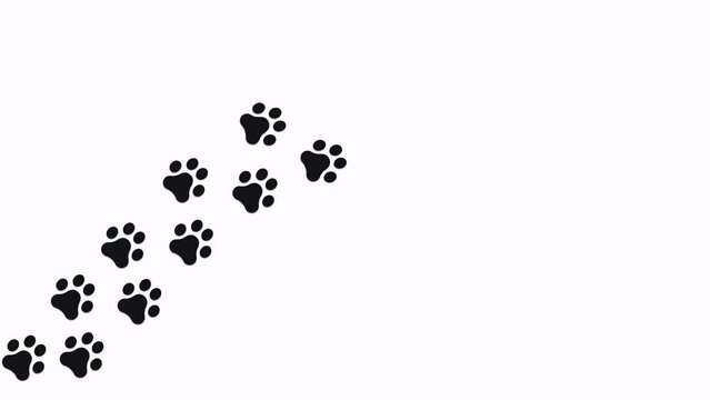 Trail of paw prints on alpha channel background. Black canine silhouettes of footprints. Steps tracing the canine path. Journey of the dog paw prints.