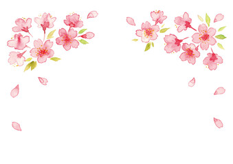 桜の花の水彩イラスト
