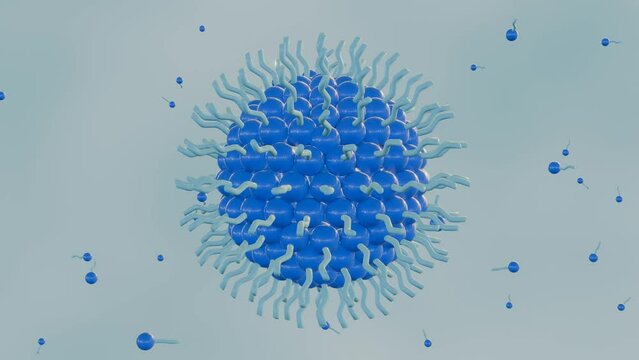 3d animation of reverse micelles are used for the selective separation and purification of biomolecules, and for the synthesis of nanoparticles.