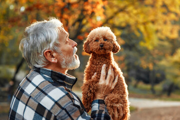 Senior couple walking in the park in autumn