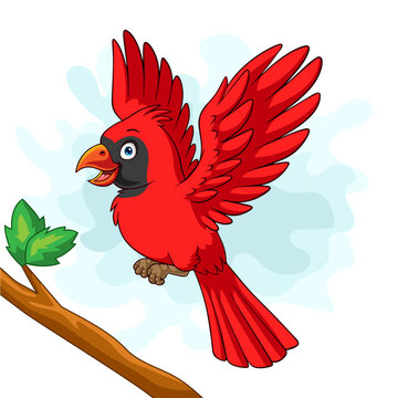 Cartoon cardinal bird on tree branch