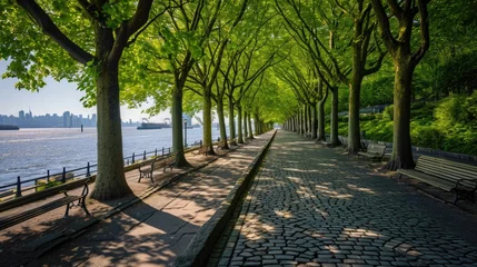 Foto op Plexiglas a nature inspired walking pathway road surrounded by trees near water © DailyLifeImages