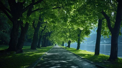 Foto op Plexiglas a nature inspired walking pathway road surrounded by trees near water © DailyLifeImages