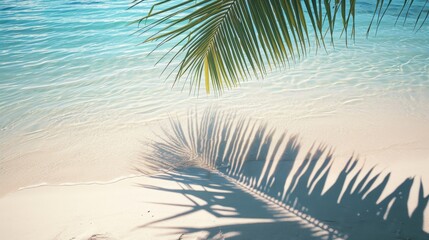 top view of water surface with tropical leaf shadow. Shadow of palm leaves on white sand beach. Beautiful abstract background concept banner for summer vacation at the beach