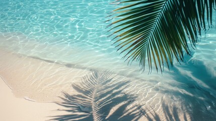Fototapeta na wymiar top view of water surface with tropical leaf shadow. Shadow of palm leaves on white sand beach. Beautiful abstract background concept banner for summer vacation at the beach