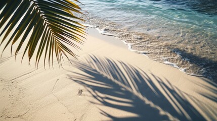 top view of water surface with tropical leaf shadow. Shadow of palm leaves on white sand beach....