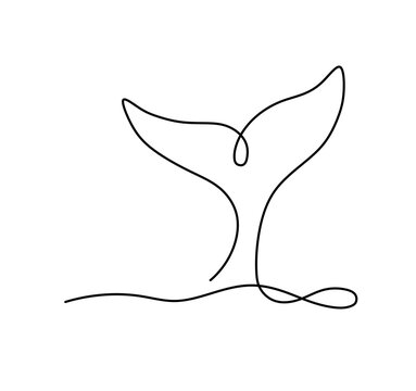 Vector isolated one single contemporary line whale dolphin killer whale tail colorless black and white contour line easy drawing