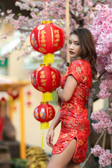 Fototapeta na wymiar Portrait of beautiful asian woman in Cheongsam dress with Red Rose in hand,Thailand people,Happy Chinese new year concept