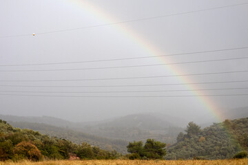 Rinbow at nature