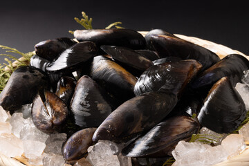 宮城県産　ムール貝