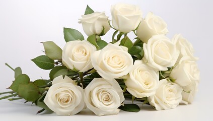 very beautiful white roses