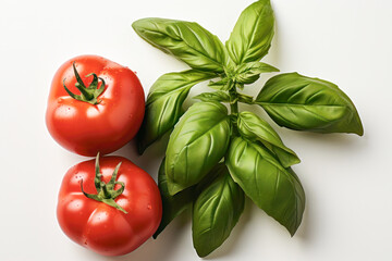 Tomato. basil 3D close up cutout minimal isolated on white background. Vivid grocery Illustration for kid, sale, package. Ultra realistic tomato, icon, detailed. Product advertising