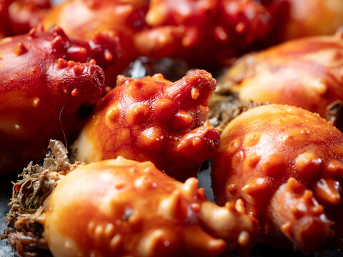 sea squirt ,seafood on a plate	