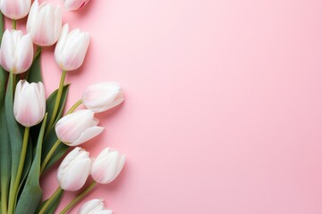 pink minimal background with white tulips and copy space right