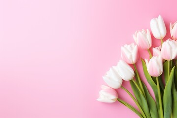 pink minimal background with white tulips and copy space left