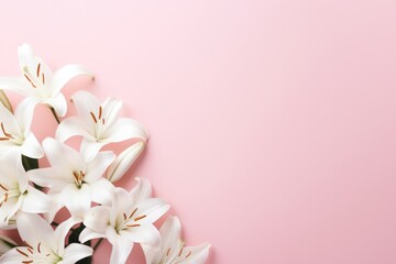 pastel pink minimal background with white tulips and copy space right