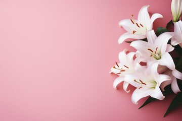 pastel pink minimal background with white tulips and copy space left