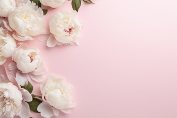 pastel pink minimal background with white peonies and copy space right