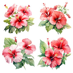 Set of realistic watercolor bouquet with light red hibiscus flowers and green leaves. Tropical flower illustration for wedding invitations, greeting cards, and postcards.