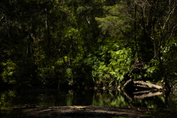 Fototapeta na wymiar reflective lake in australian bushland with trees surrounding