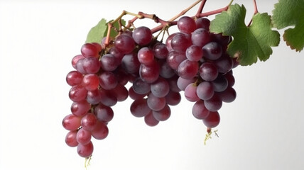 Grape, Grapes