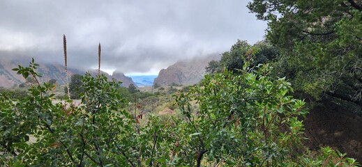 A scenic view of Big bend National Park in Texas.