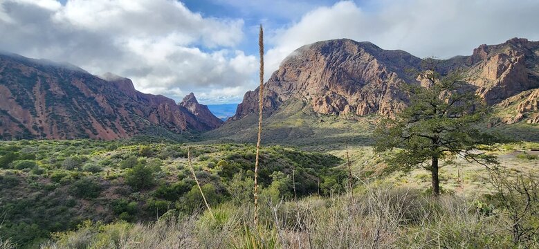 A scenic view of Big bend National Park in Texas.
