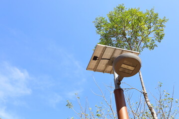 Solar panels on poles in the garden. Lighting pole with photovoltaic panel and LED lamp lights that uses renewable energy with a clear sky background in bottom view with copy space. Selective focus