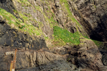 Felswand am Gobbins Cliff mit historischem ehemaligen Brückenverlauf