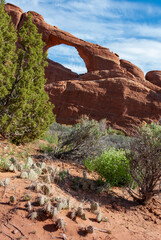 View from Devils Garden Hiking Trail in Arches National Park