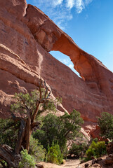 View from Devils Garden Hiking Trail in Arches National Park