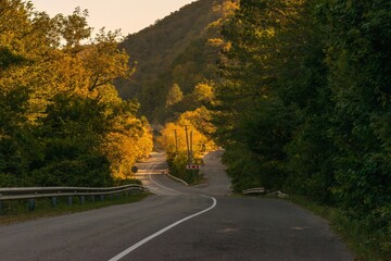 fork in forest roads in the Western Caucasus mountains on a sunny late day in early autumn