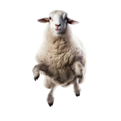 Fototapeta premium A happy sheep jumping isolated on a transparent background.