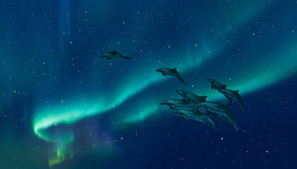 Group of dolphins jumping on the water with aurora borealis