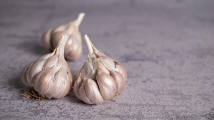 Close-up Thai Garlic