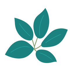 Leaf plant element for beautiful design. Simple form. Vector drawing.