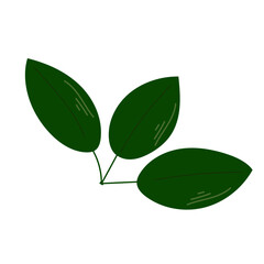 Leaf plant element for beautiful design. Simple form. Vector drawing.